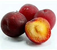 Farm Fresh Plum / Alu Bukhara 500gm.