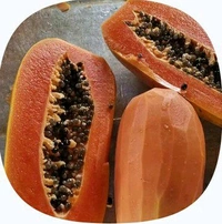 Farm Fresh Papaya / Papita 1pc.