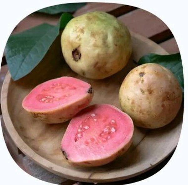 Farm Fresh Guava /Amrud 500gm.