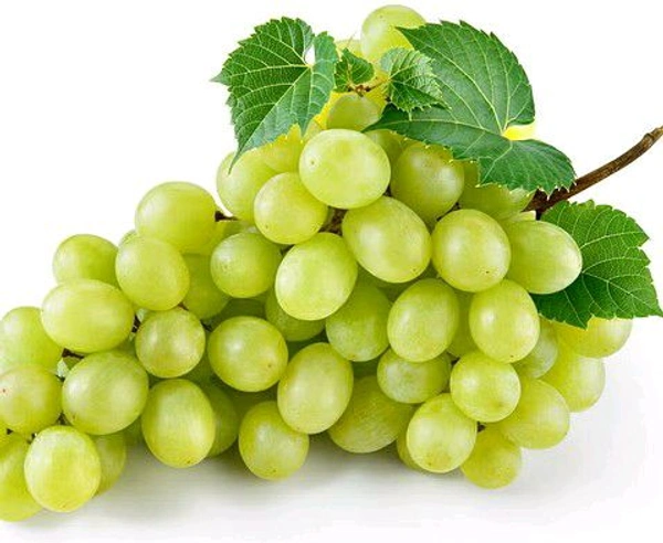 Farm Fresh Grapes /Angoor 500gm.