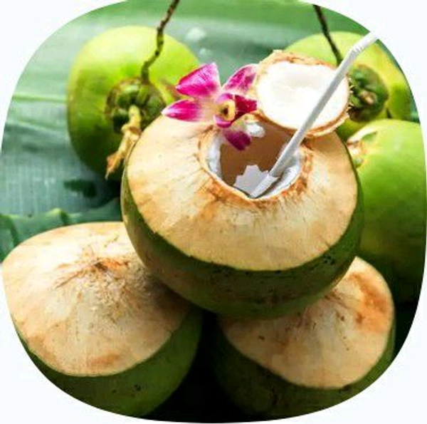 Farm Fresh Coconut / Daab 1pc.