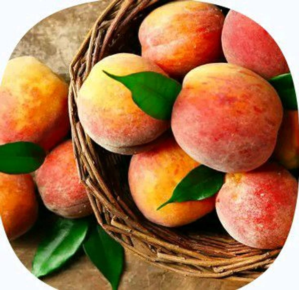 Farm Fresh Plum 500gm.