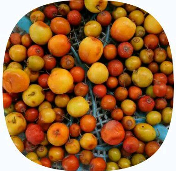 Farm Fresh Ber / Beriya 1kg.