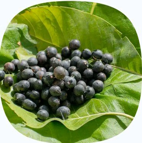 Farm Fresh Karonda / Bengal Current 500gm.