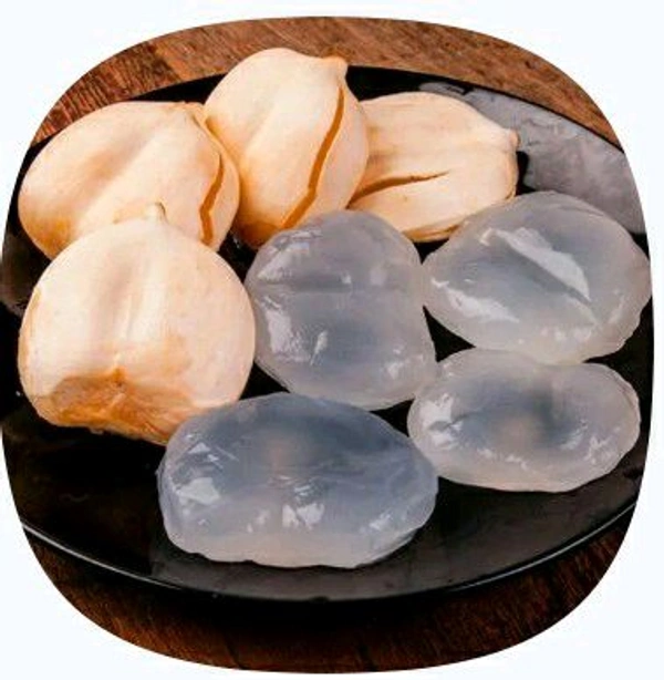 Farm Fresh Tal Fal / Toddy Palm 1pc.