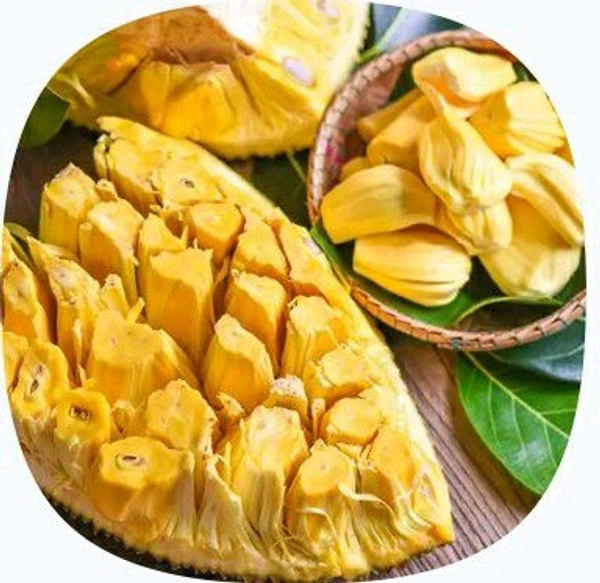 Farm Fresh Jackfruit / Katahal 250gm.