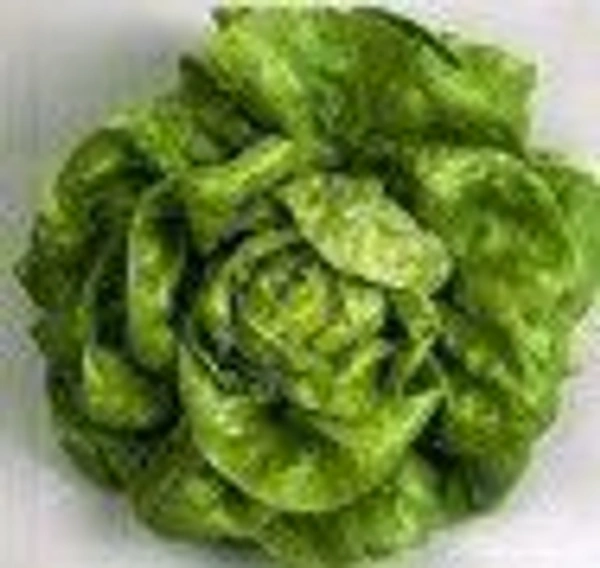 Farm Fresh Butterhead Green Leaf 250gm.