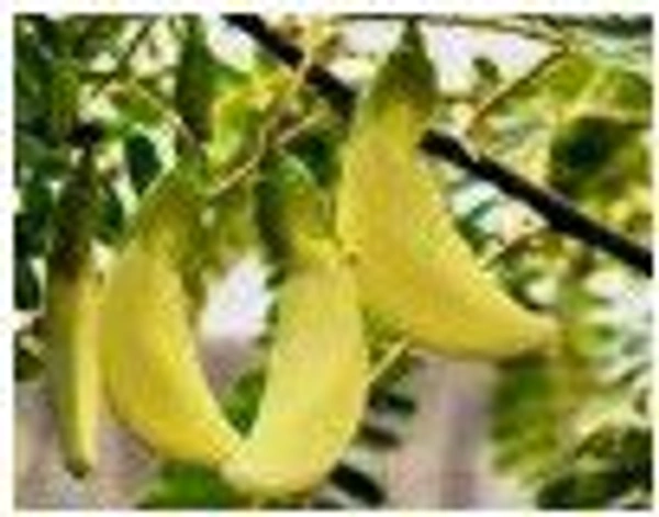 Farm Fresh August Flower / अगस्त के फूल 250gm.