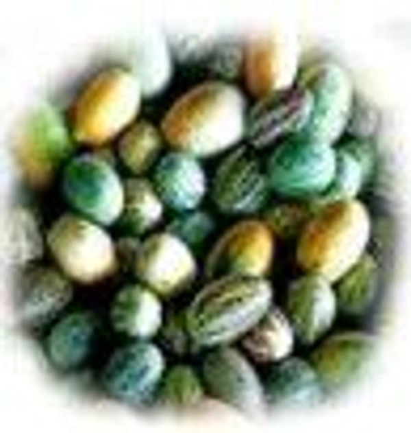 Farm Fresh Mouse Melon / काचरी 500gm.