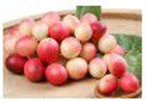 Farm Fresh Natal Plum / करोंदा 500gm.