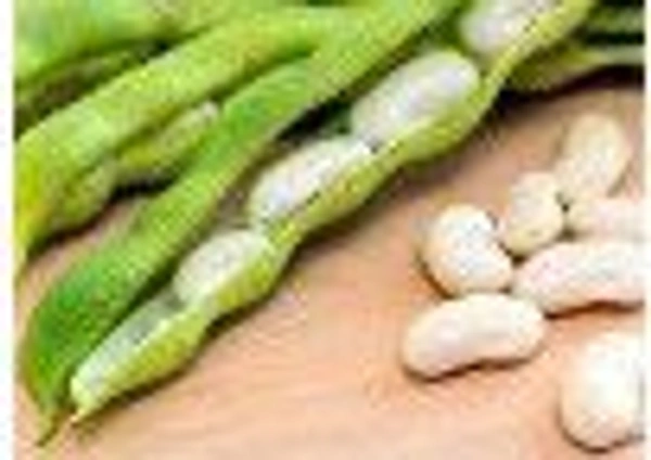 Farm Fresh Kidney Beans / राजमा फली 500gm.