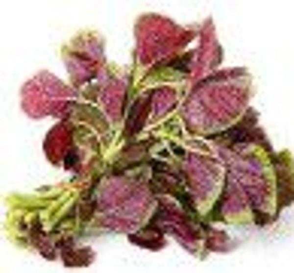 Farm Fresh Amarnath Leaves / हरी चोलाई 500gm.