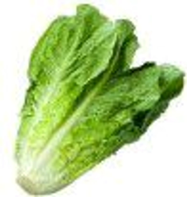 Farm Fresh Green Salad Leaves  / हरी सलाद पत्तियां 250gm.