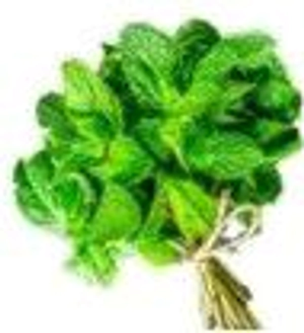 Farm Fresh Peppermint / पुदीना 100gm.