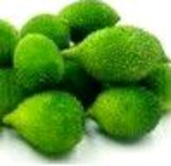 Farm Fresh Spine Gourd / कंकोरा 500gm.