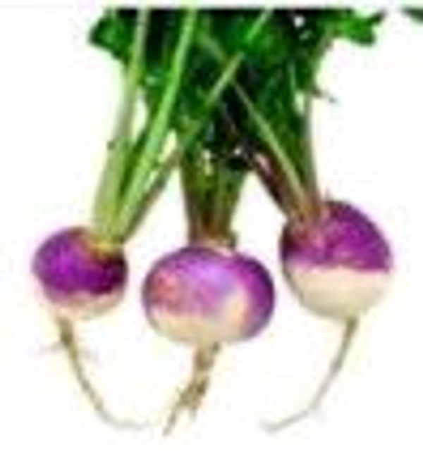 Farm Fresh Turnip / शलजम 500gm.