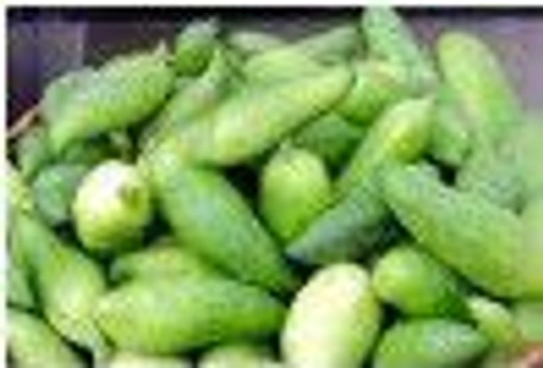 Farm Fresh Ram Karela / पहाड़ी करेला 500gm.