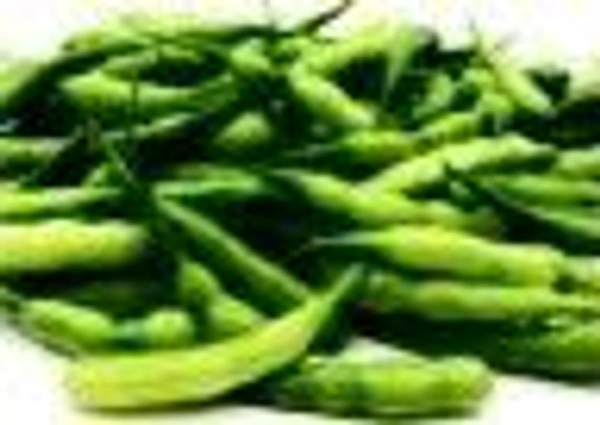 Farm Free Radish Pods / सेंगरी / सोंगरी की फली 250gm.