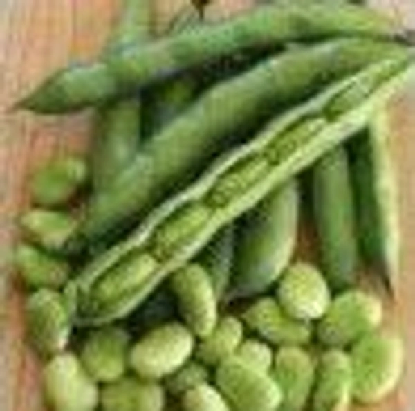 Farm Fresh Fava / Broad Beans / बाकले की फली 250gm.