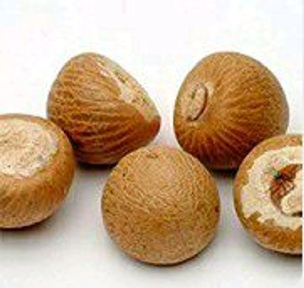 बड़ी सुपारी 1pc.