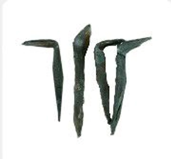 नागफनी कील (Nagfani Keel )1pc.