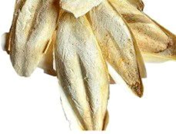 समुद्र फेन 50gm