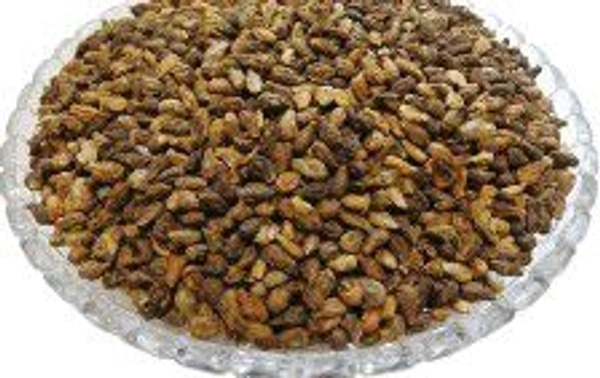 शिवलिंगी बीज 50gm