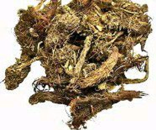 जटामासी 50gm 