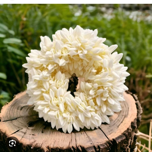 Scented Jasmine Scrunchies 