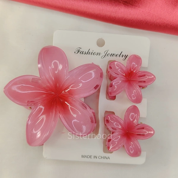 Flower Claw Clip combo  1