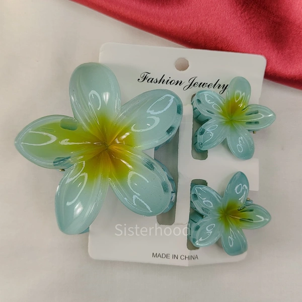 Flower Claw Clip combo  3