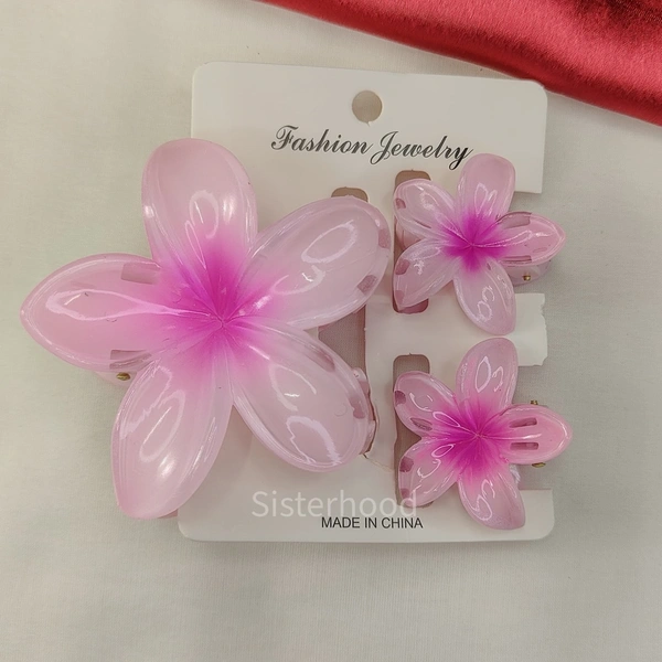Flower Claw Clip combo  6