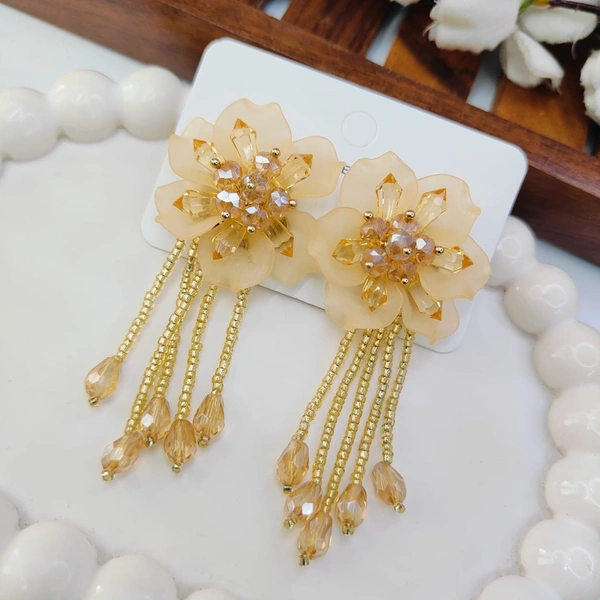 Imported Korean Earring 2