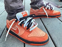 Nike SB Dunk Low Orange Lobster - 7-7.5-8.5-9-10