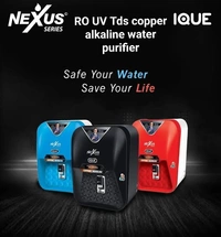 Nexus Brand Flavia Golden 