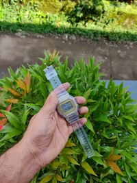 Transparent Vintage Watch - Rose