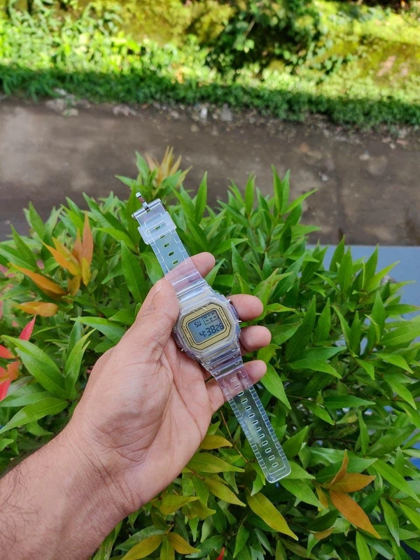 Transparent Vintage Watch - Rose