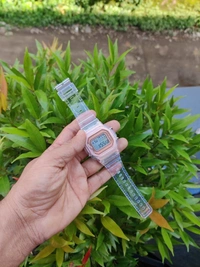 Transparent Vintage Watch - Rose