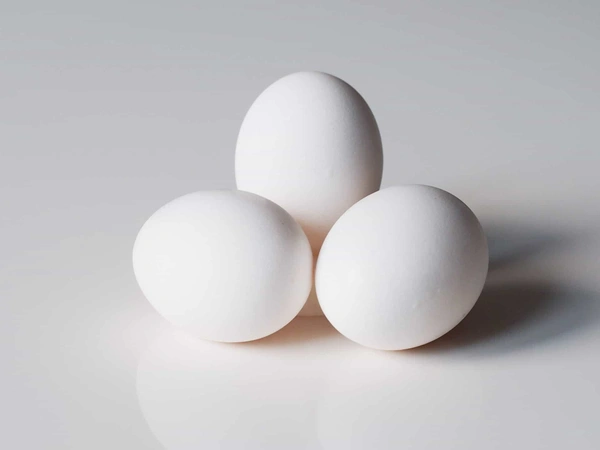 EGG