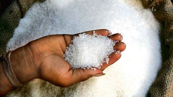 Sugar