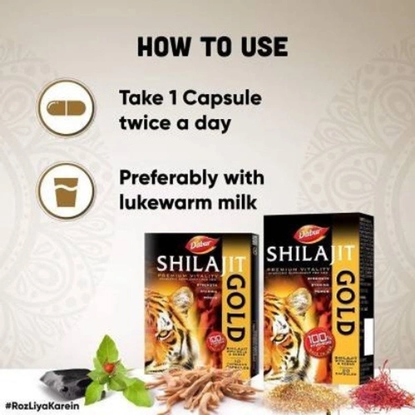 Brand Dabur Shilajit Gold Capsules Ayurvedic Supplement for Men Strength , Stamina and Power | 10 + 2 Free Capsules - 12 Capsules