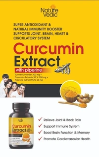 Nature Vedic Curcumin Extract Capsules With Piperine for Joint Pain, Inflammation & Immunity System  - 60 Capsules
