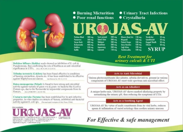 Nature vedic Nature Vedic Urojas - AV Syrup Ayurvedic Formula for Urinary Stones & Infections - 400 ml