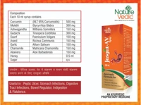 Nature Vedic Jasgut - AV Syrup for Peptic Ulcers & Stomach Infection - 400 ml