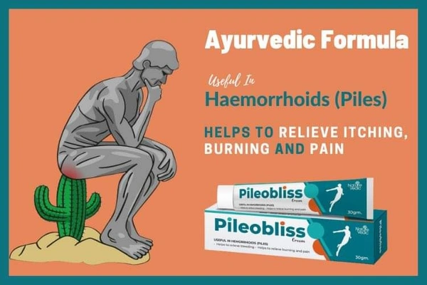 Nature vedic  Nature Vedic Pileobliss Cream Useful in Hemorrhoids Piles (30 gm) - 30 gm