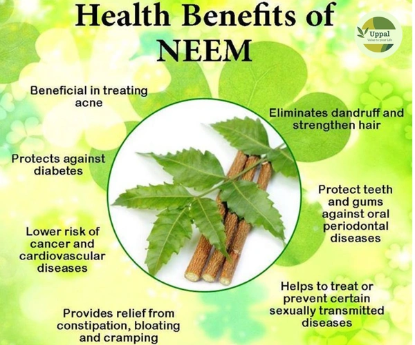 Uppal Natural & Pure Neem Powder for Pimple Free Skin & Natural Black Hair - 100 gm