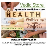 VEDIC STORE  - Logo