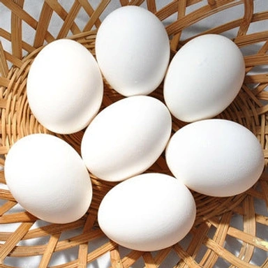 Egg