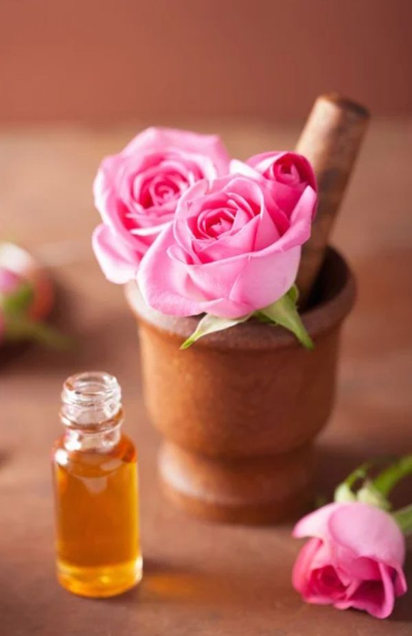 Rose Aroma Oil  - 15 ml