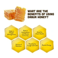 Dabur Honey 1 kg